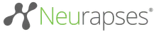 Neurapses